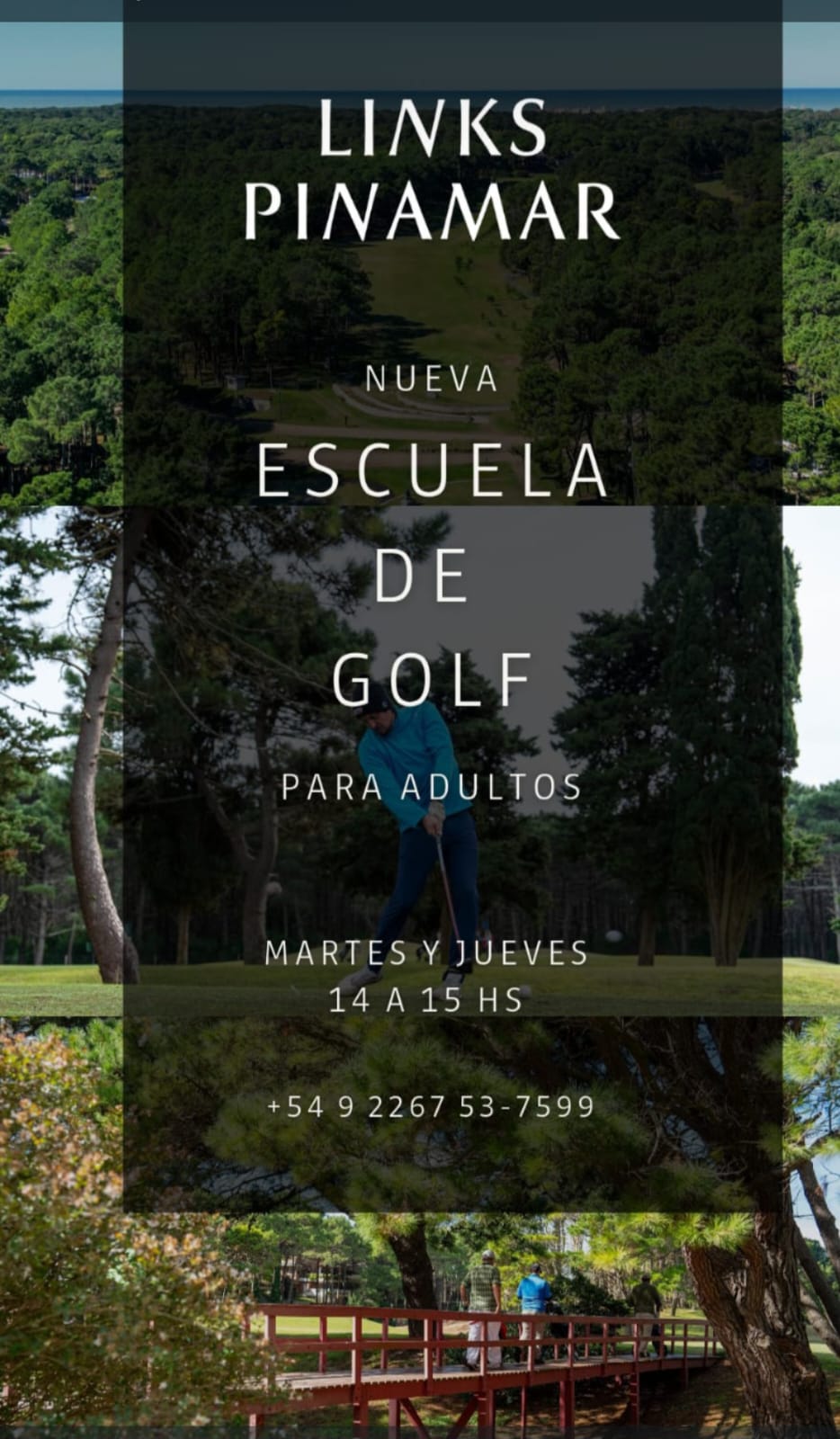 Escuela De Golf Para Adultos